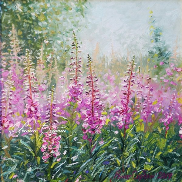 Иван чай живопись