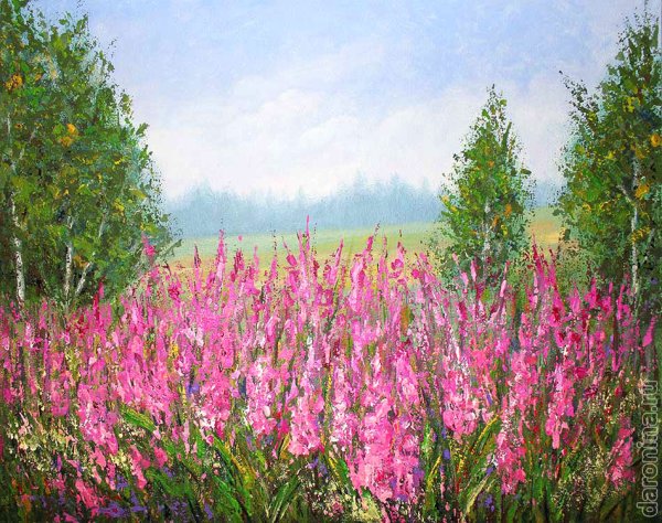 Иван чай картина