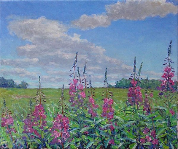 Кипрей Иван чай в живописи художников