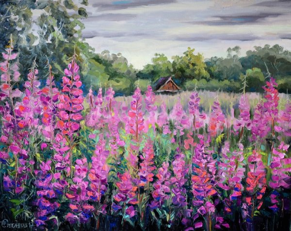 Картины художников с кипреем(Иван-чай)