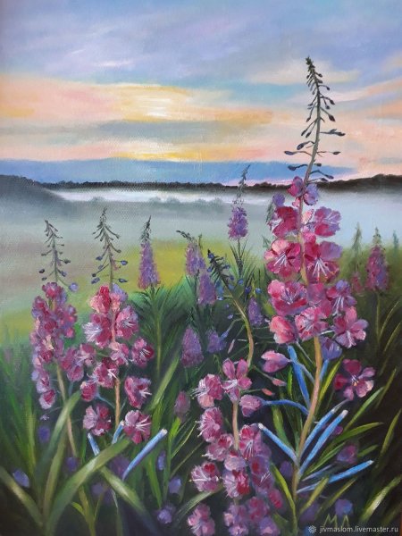 Иван чай живопись