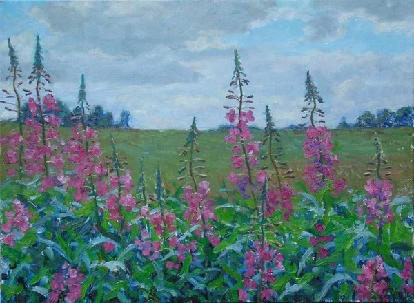 Живопись Иван чай цветет