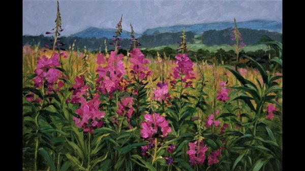 Картины художников с кипреем(Иван-чай)