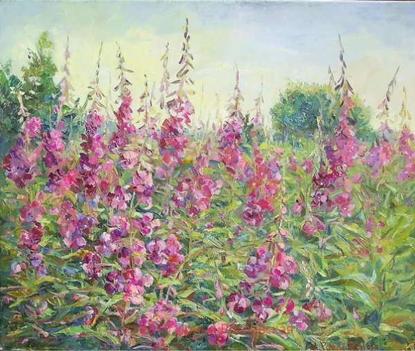 Абакумов Иван-чай