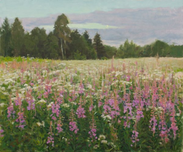 Художник Алексей Савченко Иван-чай