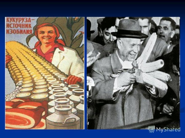 Кукуруза Хрущева плакат 1960