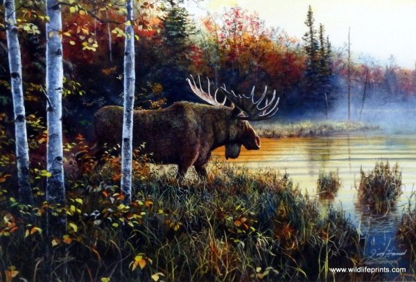 Пейзаж с лосем