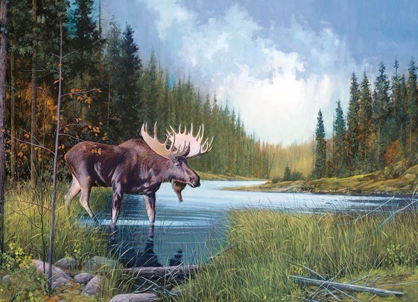 Пазл Cobble Hill, 1000 элементов - Лосиное озеро