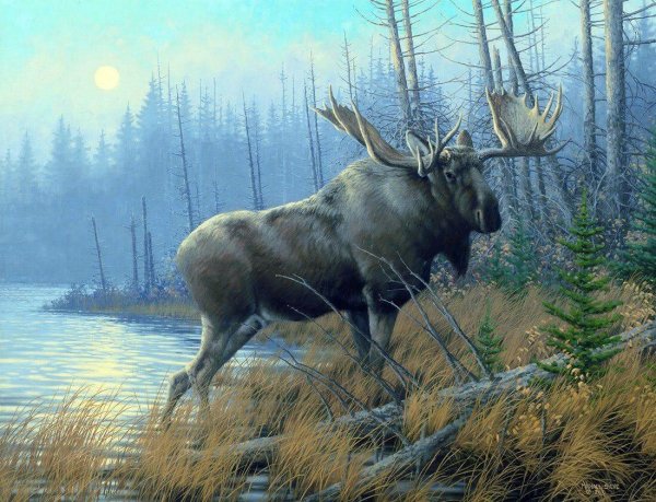 Michael Sieve лоси