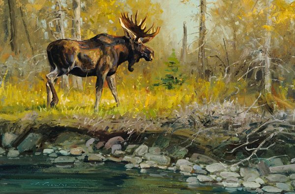 Джексон Хоул картины