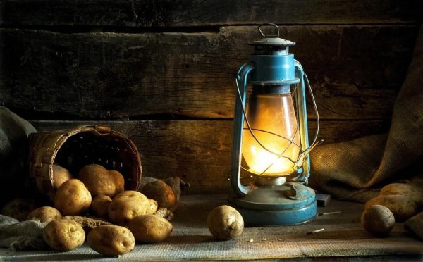 Натюрморт с керосиновой лампой