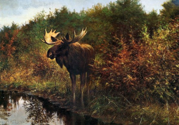 Художник Рин Поортвлит