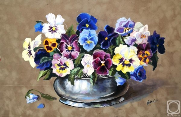 Бузин. Анютины глазки