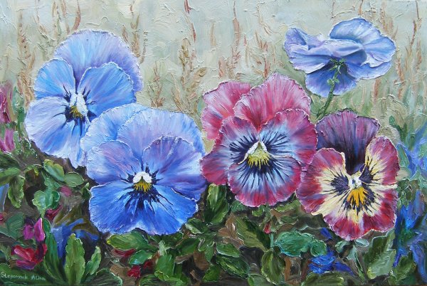 Анютины глазки Сахаров