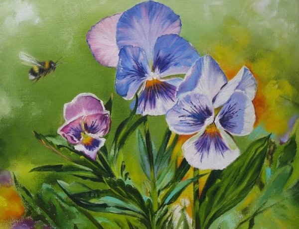 Цветы Анютины глазки маслом