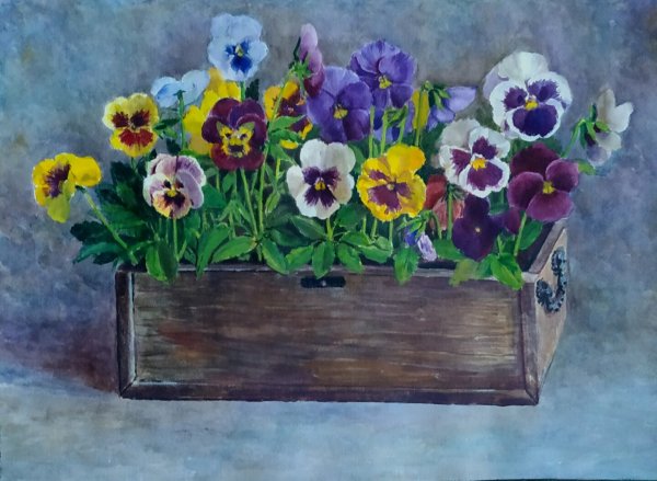 Альберт де Лаво Анютины глазки