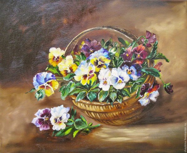 Anne Cotterill Анютины глазки