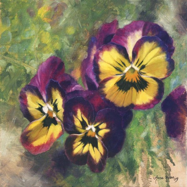 Альберт де Лаво Анютины глазки