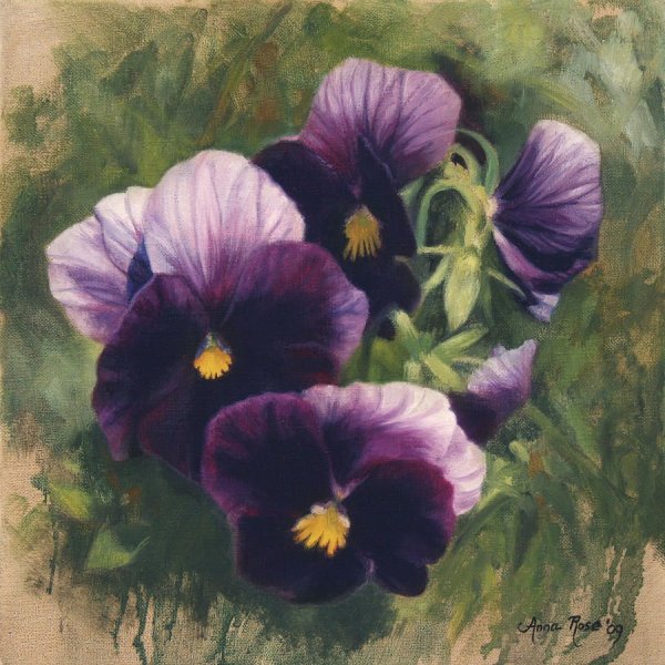 Анютины глазки Набоков