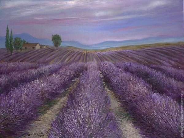 Лавандовые поля Манэ