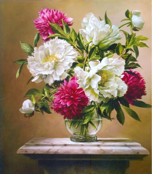 Цветы Питера Вагеманса пионы