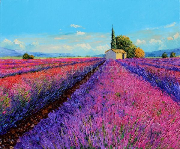 Жан Марк Жаньячик Прованс