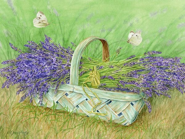 Художник Jane Shasky лён