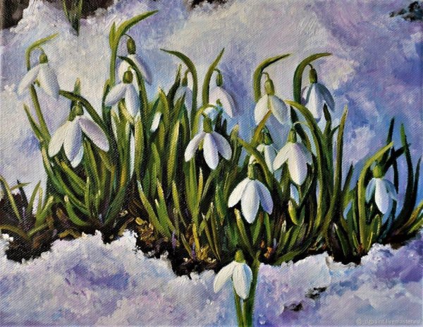 Терра Фьорри подснежники