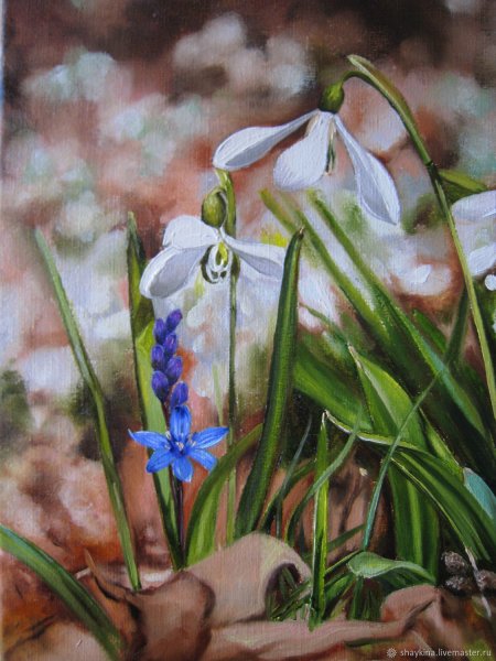 Наталья Шайкина пролеска