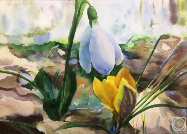 Грабарь подснежники