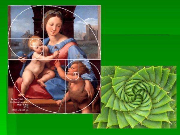 Картины Рафаэля золотое сечение