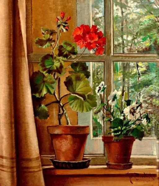 Марина Чулович герань