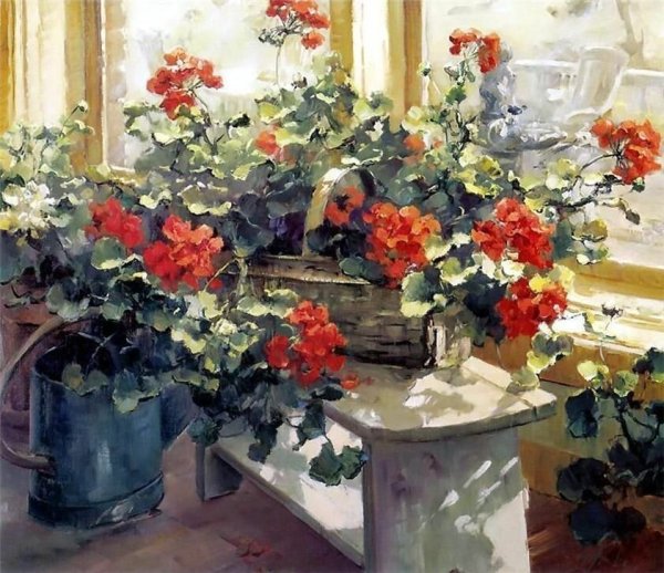 Марина Чулович герань