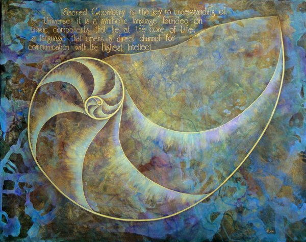 Фибоначчи спираль яйцо золотое сечение