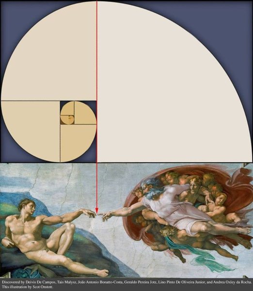 Рафаэль Араухо: золотое сечение