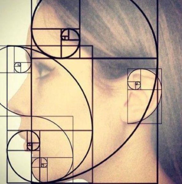 Золотое сечение Фибоначчи Божественная мера