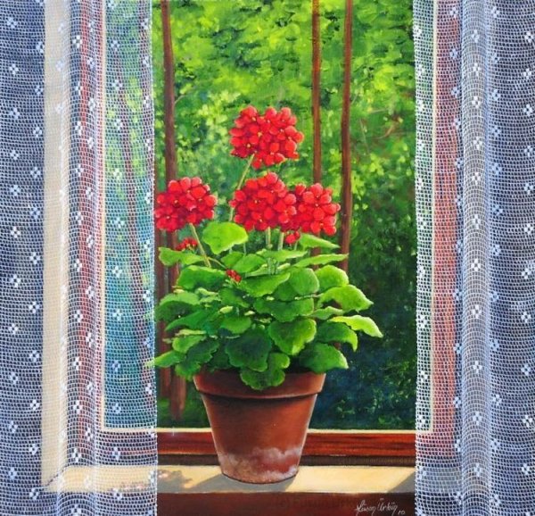Герань на окошке