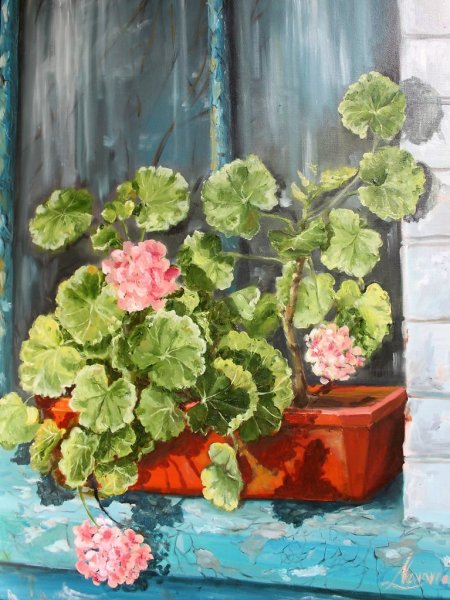 Герань в горшке акварель