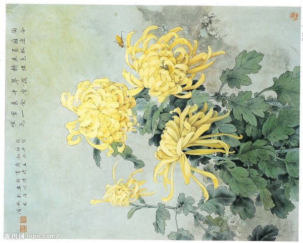 Хризантемы живопись Япония