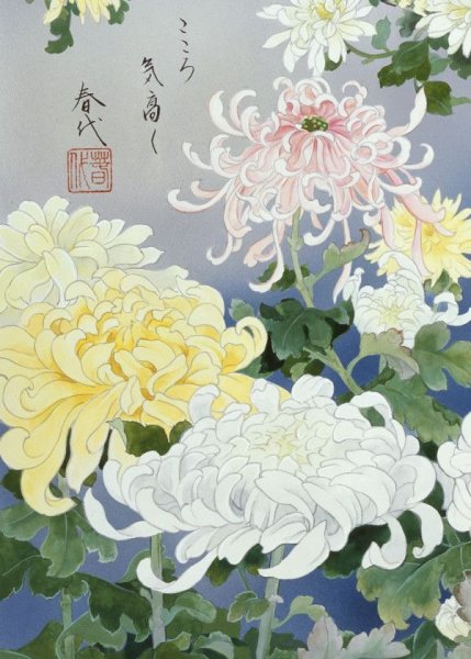 Хризантема гравюра японская гравюра