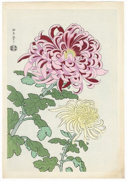 Хризантема Япония гравюра
