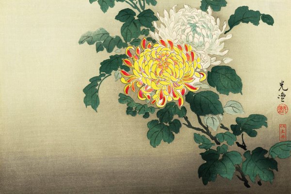 Японская гравюра Хокусай хризантемы