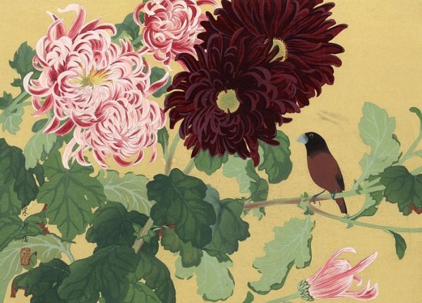 Японская гравюра цветы хризантемы