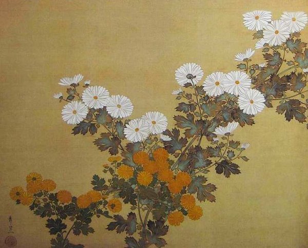 Гунби хризантемы