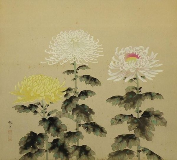 Байрэй Коно "100 видов хризантем".1892