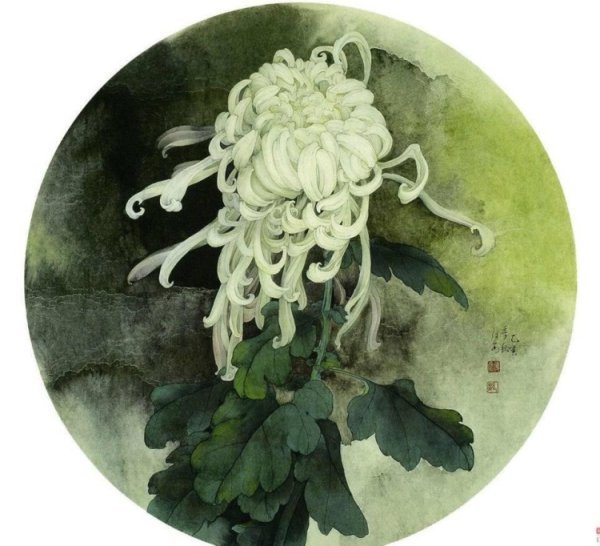 Байрэй Коно "100 видов хризантем".1892