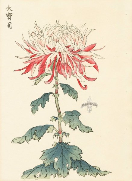 Китайский натюрморт живопись