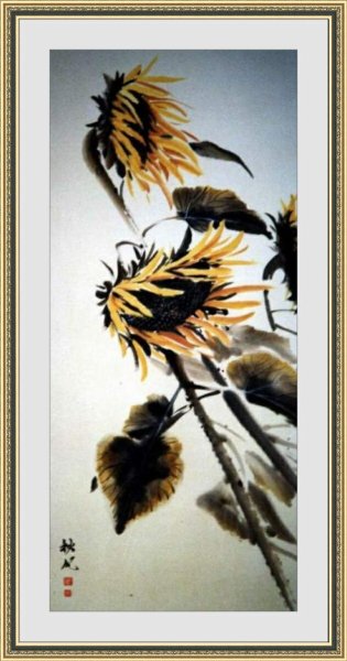 Подсолнух гунби