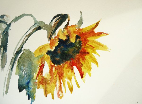 Китайская живопись Подсолнухи