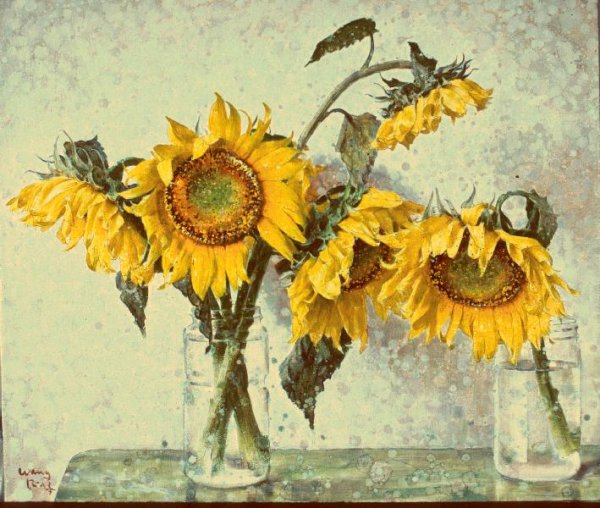 Подсолнухи японские картины